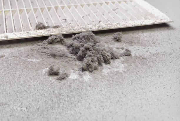 Best Affordable Air Duct Cleaning  in Dyer, TN